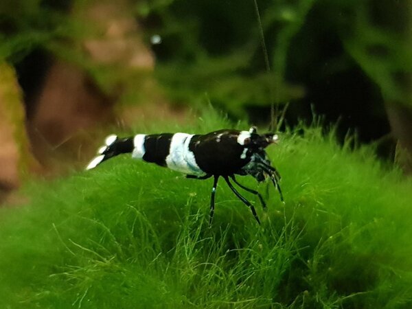 20180305_212856.jpg
