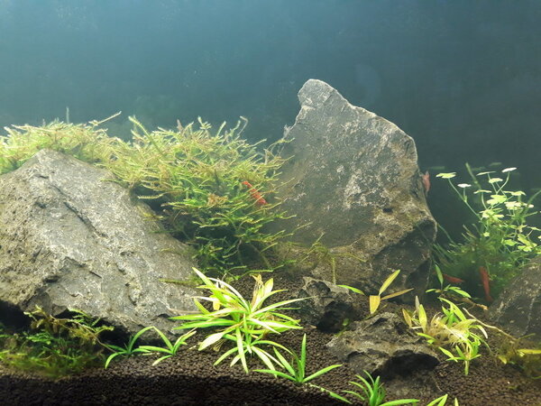 20180308_192107.jpg