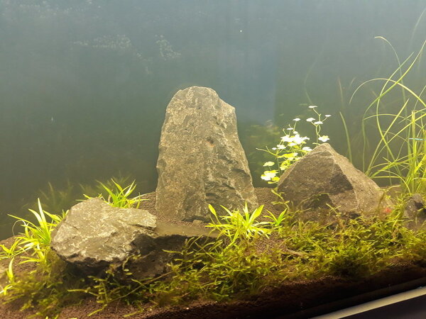 20180308_192114.jpg