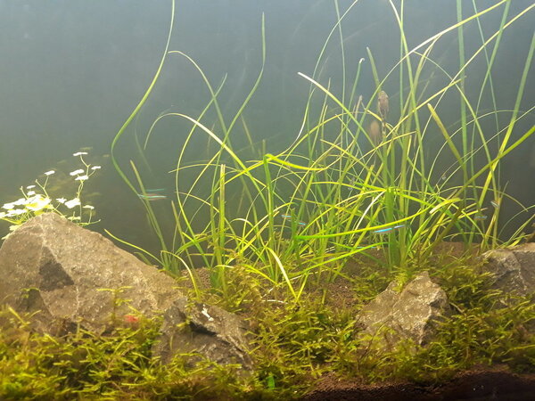 20180308_192118.jpg