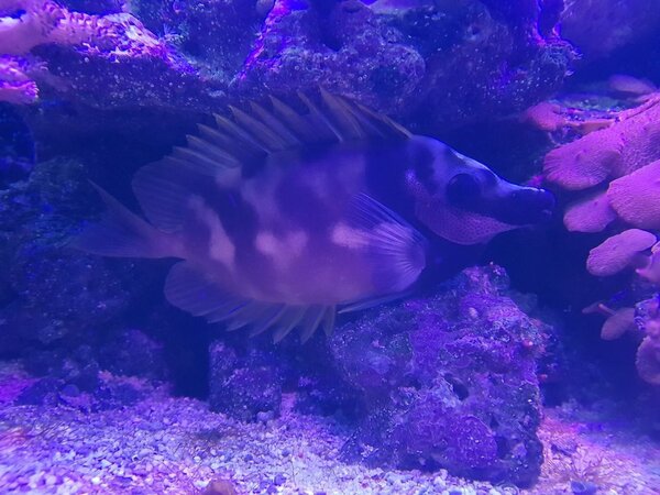 20180309_223838.jpg