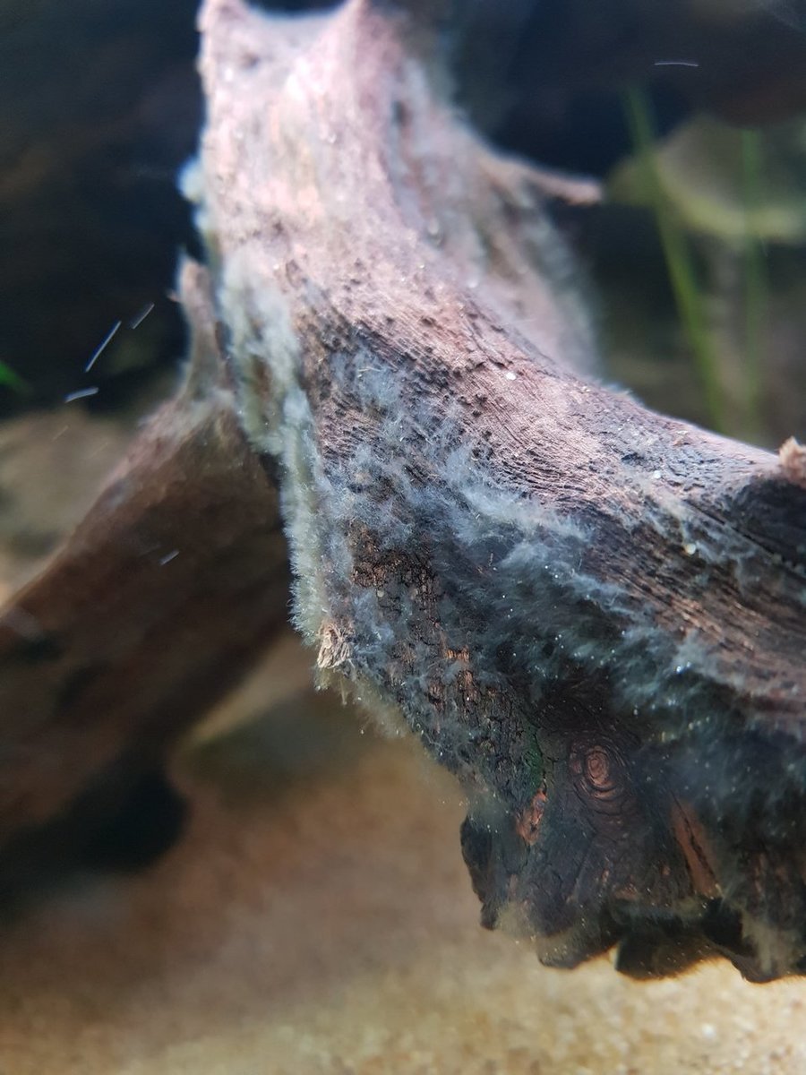 20180316_114454.jpg