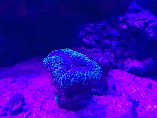 20180321_225634.jpg