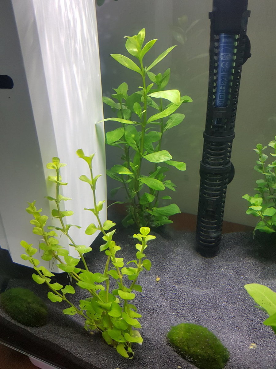 20180323_171523.jpg