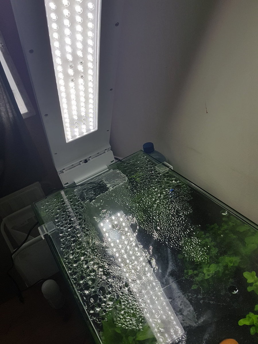 20180323_171546.jpg