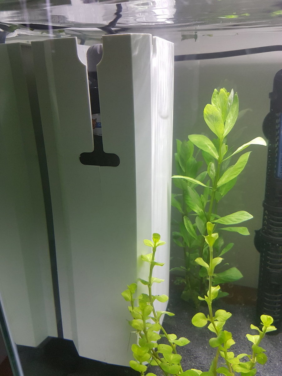 20180324_081108.jpg