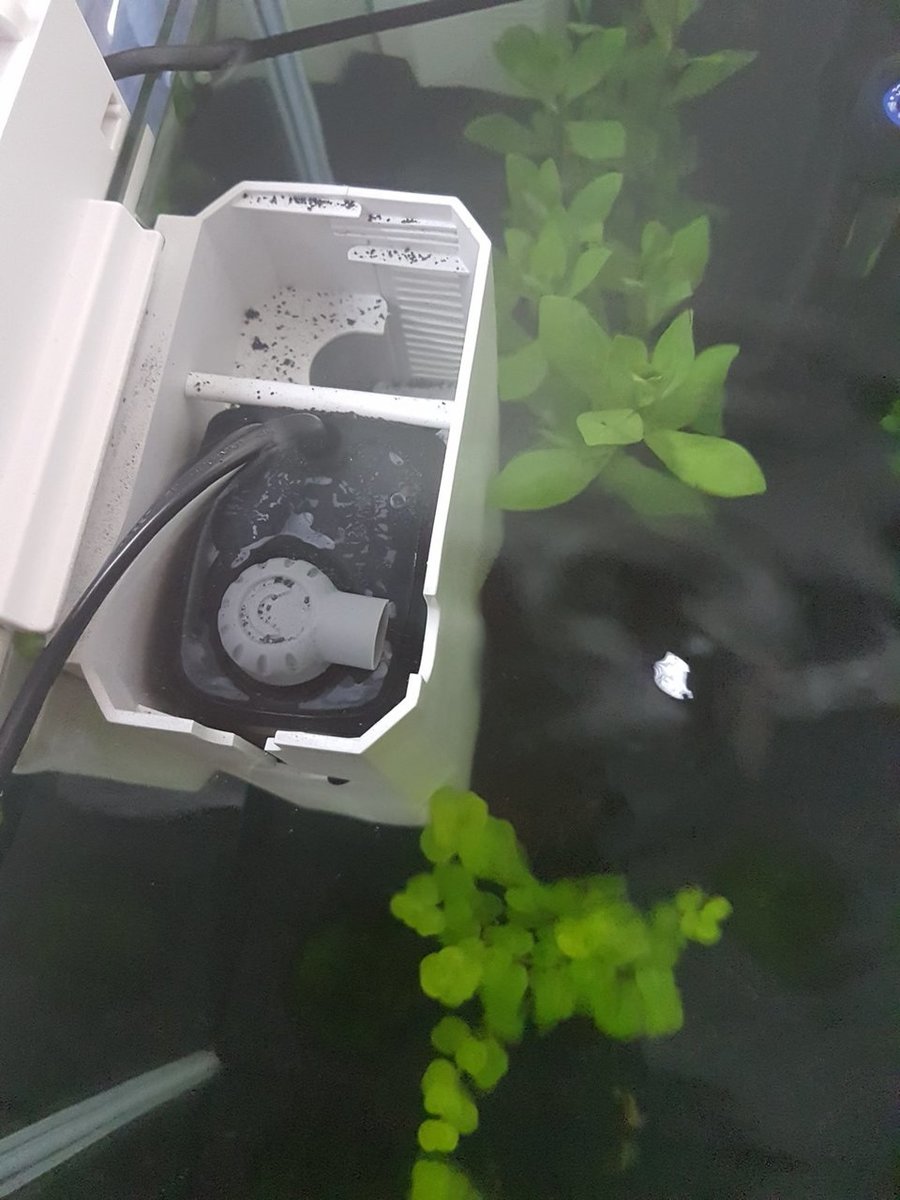 20180324_081226.jpg