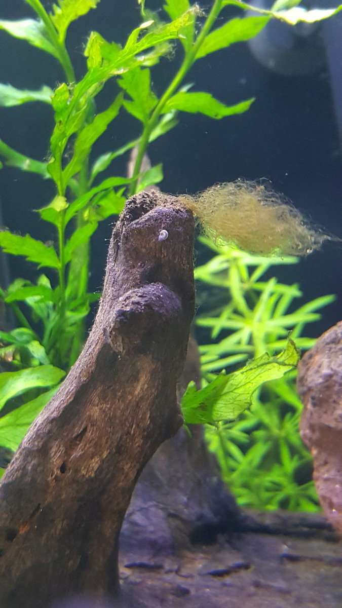 20180324_142104.jpg