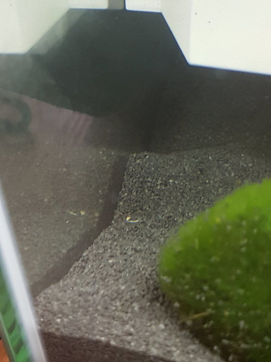 20180324_163328.jpg