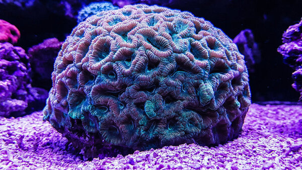 20180324_204503-2.jpg