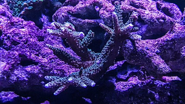 20180324_204523-2.jpg