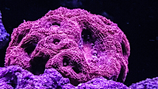 20180324_204540-2.jpg