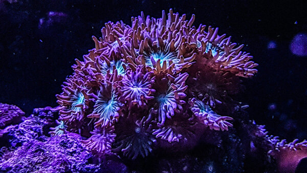 20180324_204603-2.jpg