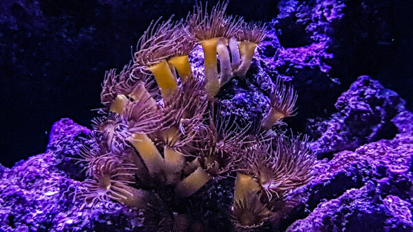 20180324_204618-2.jpg