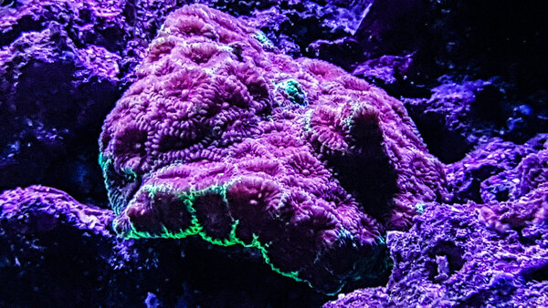 20180324_204724-2.jpg