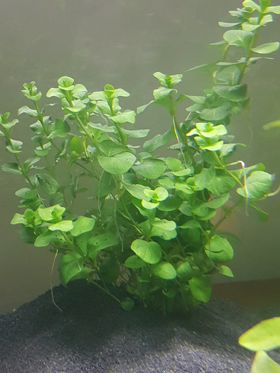 20180325_171242.jpg