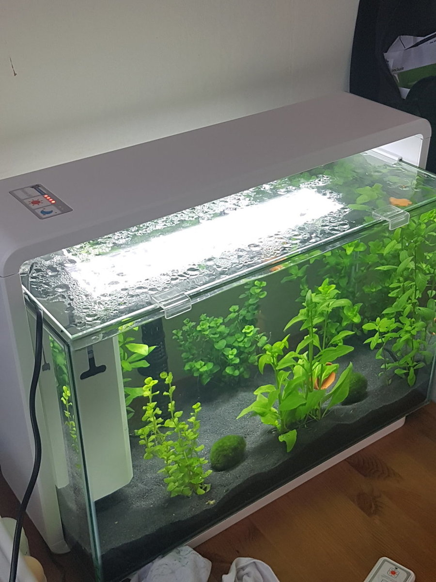 20180325_172029.jpg