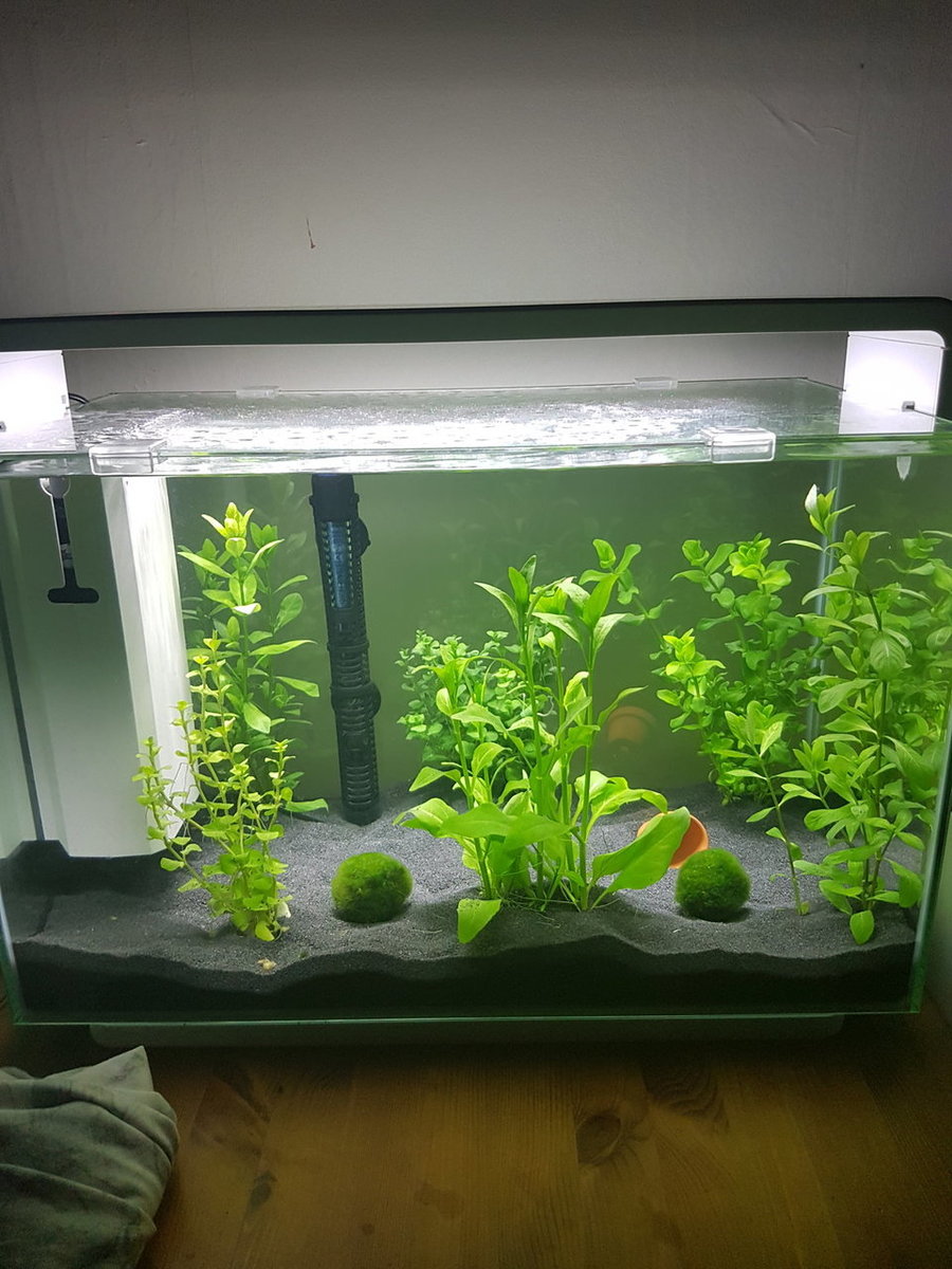 20180326_001132.jpg