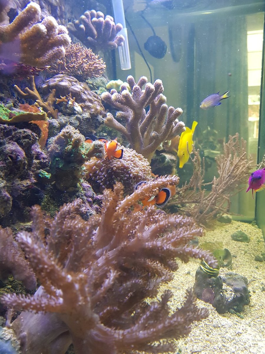 20180327_124218.jpg