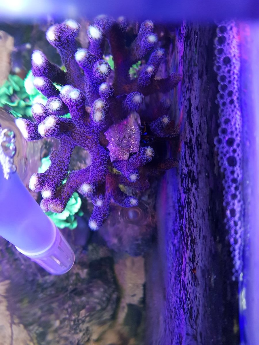 20180327_221028.jpg