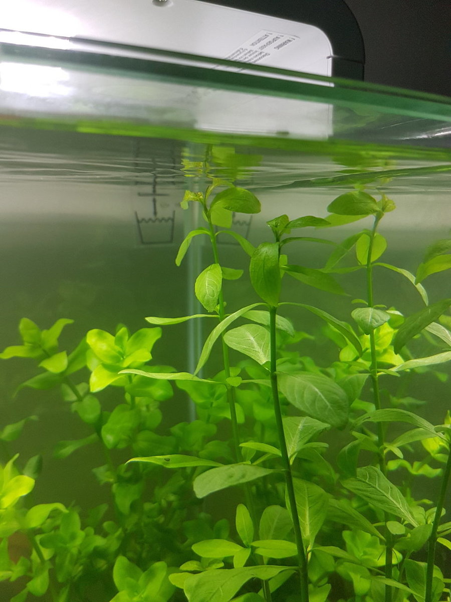 20180329_193848.jpg
