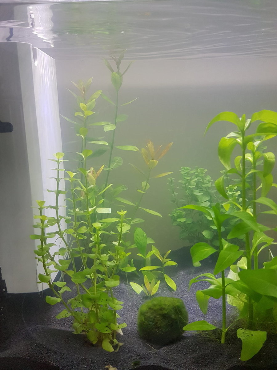20180402_132352.jpg