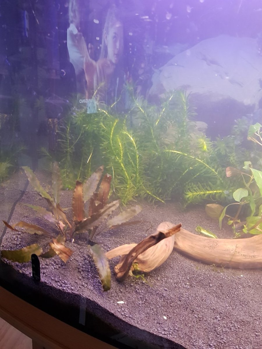 20180402_192118.jpg