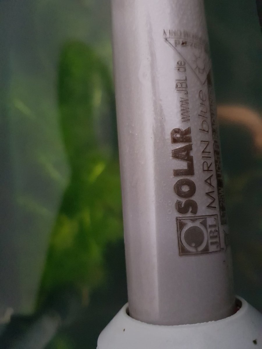20180403_094904.jpg