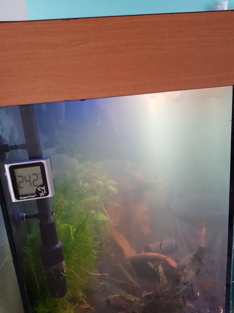 20180403_111447.jpg