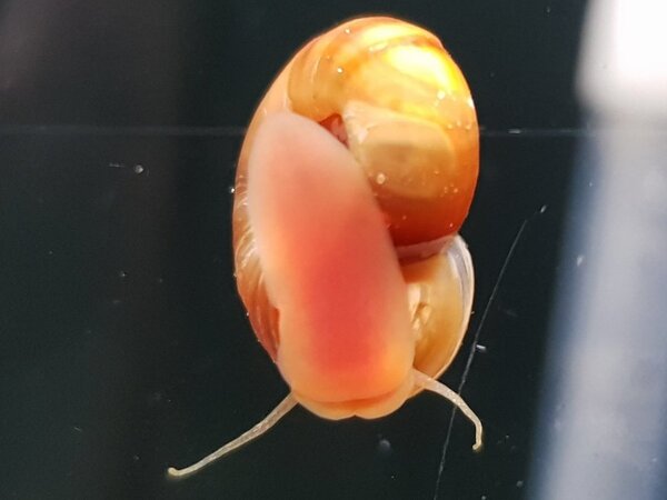 20180404_191900.jpg