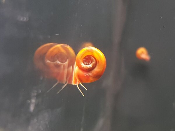 20180404_201532.jpg