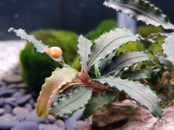 20180404_201554.jpg