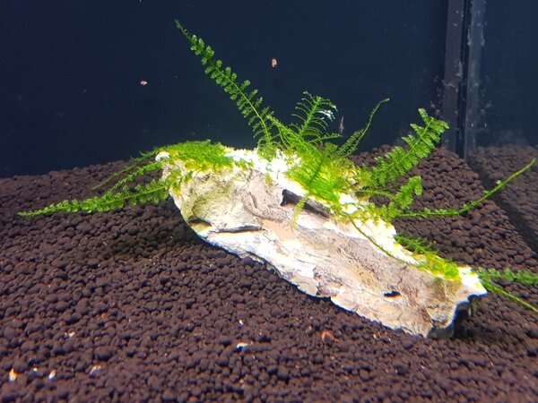 20180404_201642.jpg