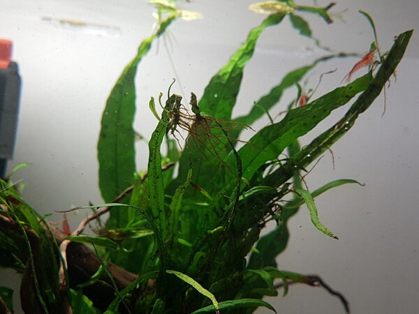 20180408_144456.jpg
