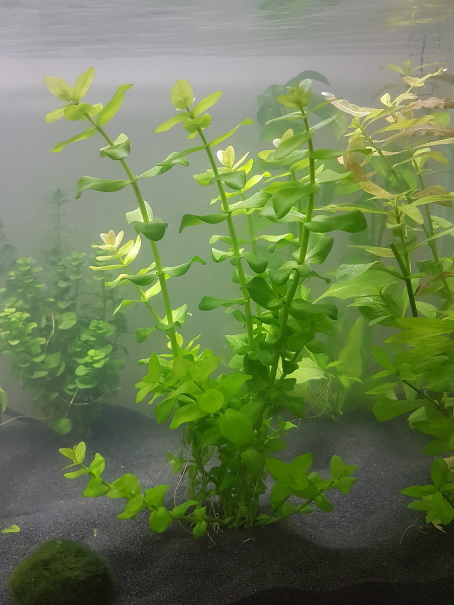 20180408_162257.jpg