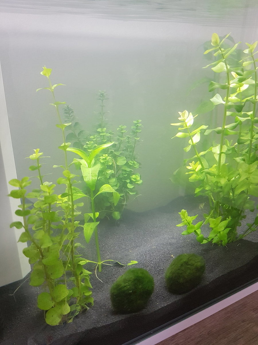 20180408_162305.jpg