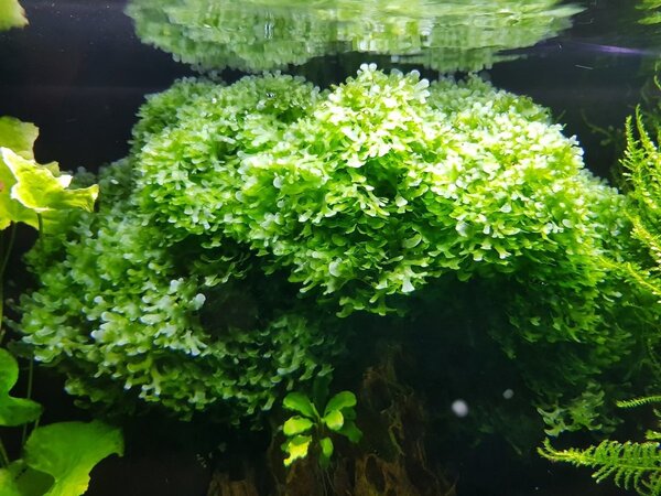 20180408_210017.jpg