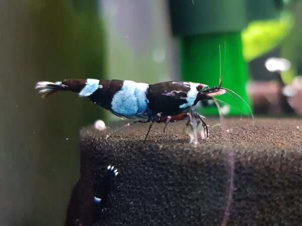 20180408_215831.jpg