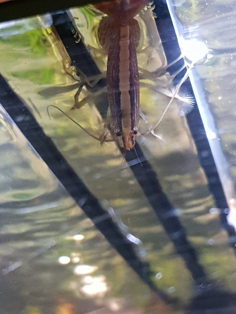 20180409_180155.jpg