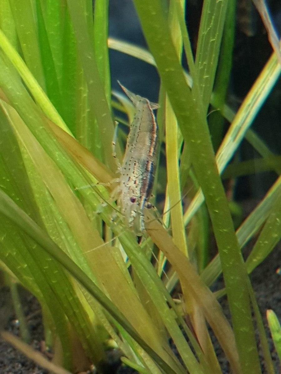 20180409_180325.jpg