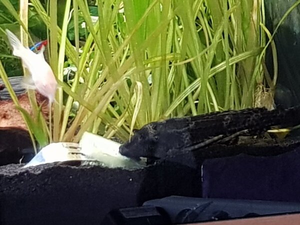 20180411_123945.jpg