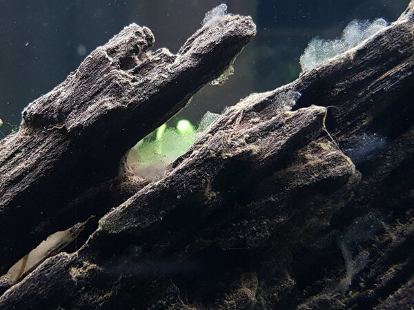 20180413_181336.jpg
