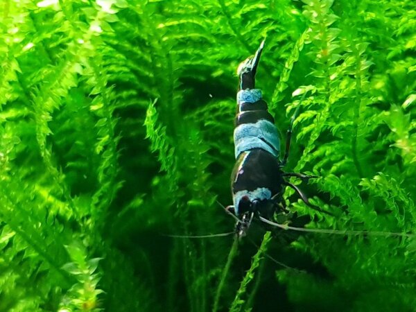 20180413_213044.jpg
