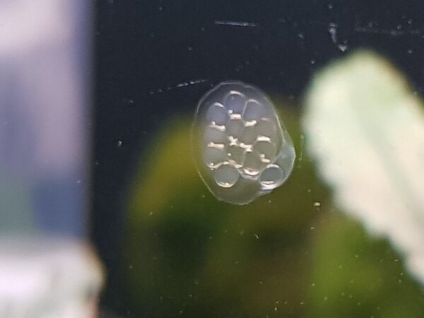 20180413_214248.jpg