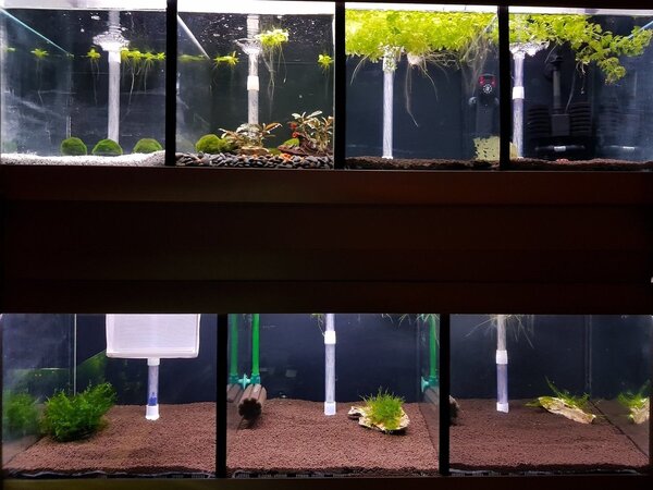 20180413_220255.jpg
