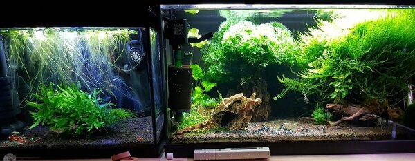 20180413_220412.jpg
