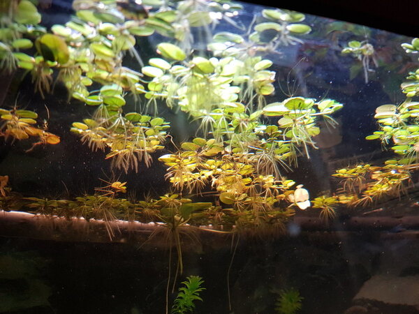 20180415_205857.jpg