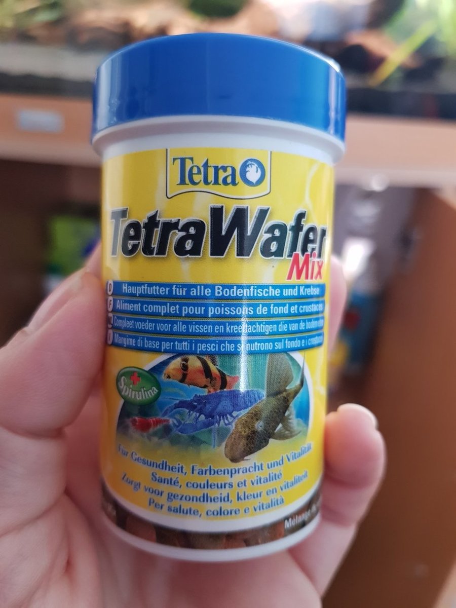 20180416_114437.jpg