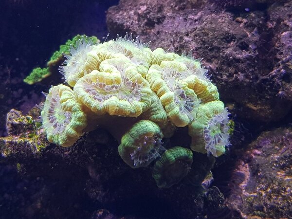 20180417_205242.jpg