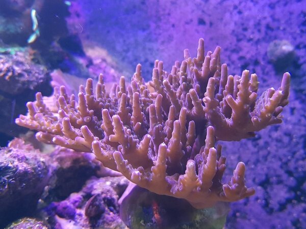 20180417_222115.jpg